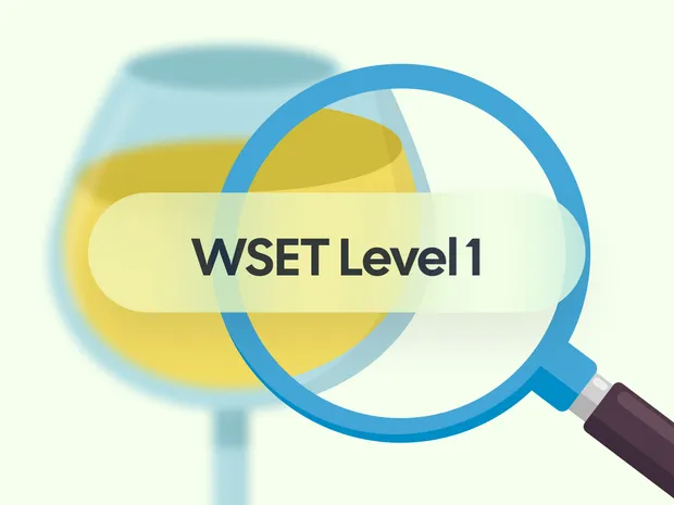 How to Find and Take a WSET Level 1 Practice Exam