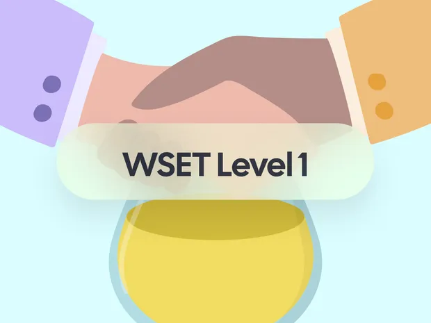 How to Get a Job in Wine with the WSET Level 1 Qualification