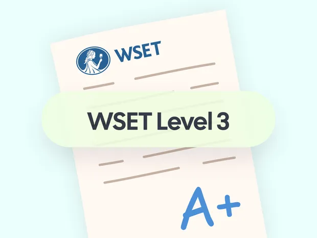 How to Get the Most Out of WSET Level 2 Practice Exams