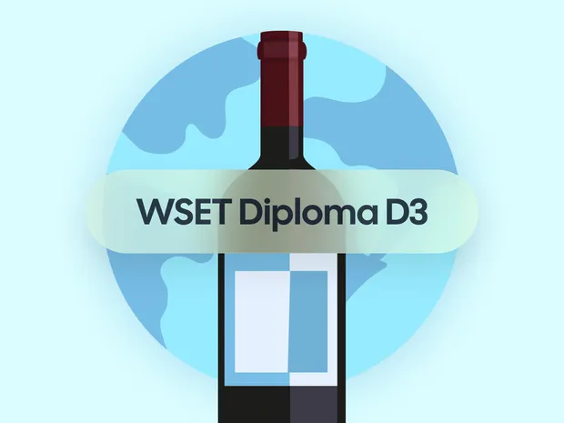 How to Pass the WSET Diploma D3 Exam on the Wines of the World