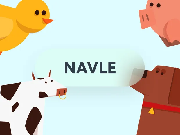 6 Tips To Study For The NAVLE® More Efficiently