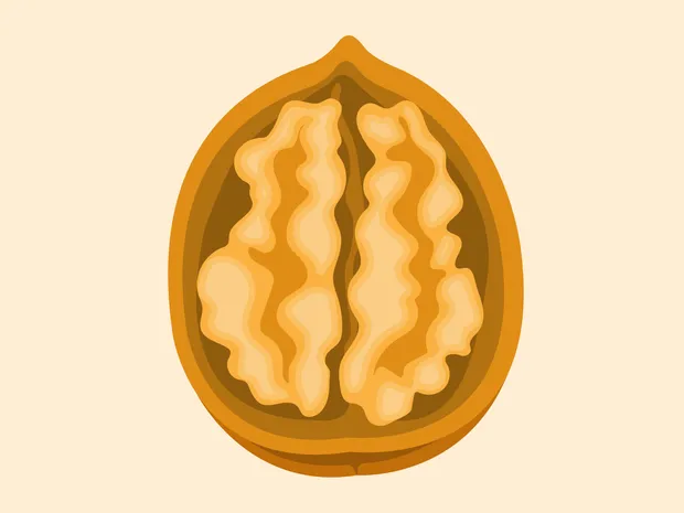 Best Brain Foods To Eat Before A Test