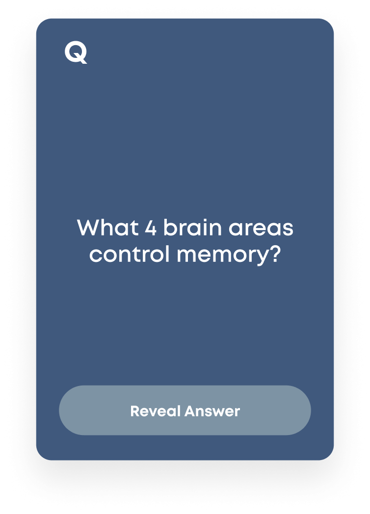 Flashcard with a question, 'What 4 brain areas control memory' with a gray button at the bottom that reads 'Reveal Answer'