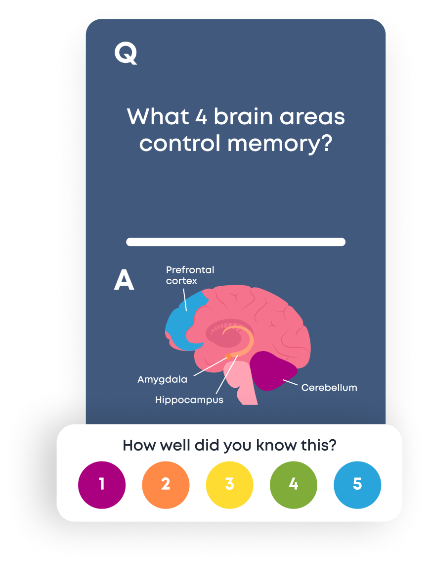 Brainscape flashcard with numbered buttons that allow people to rate how well they knew the answer