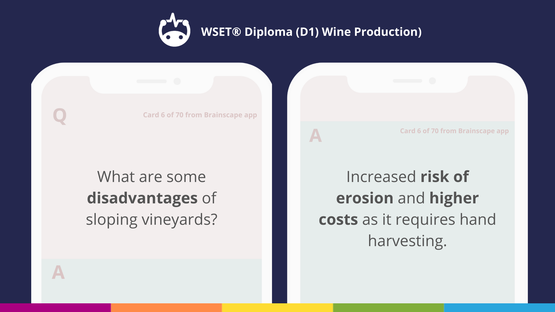 WSET Level 4 Diploma flashcards Wine Production