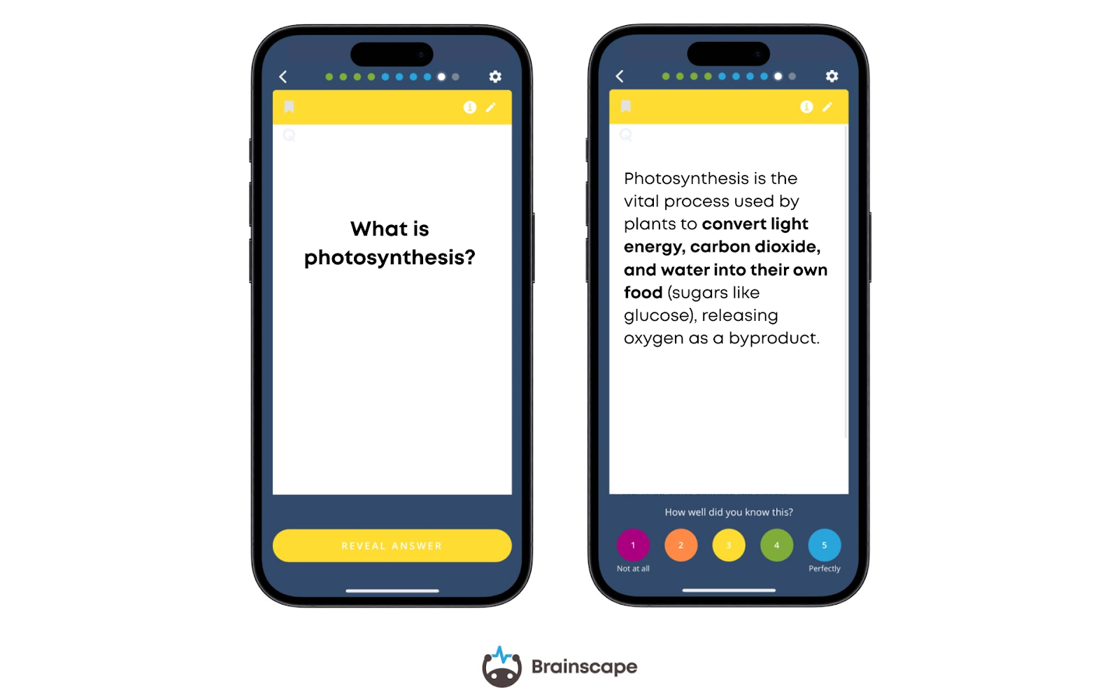 Brainscape's flashcards break complex information into individual Q-and-A pairs for efficient learning.