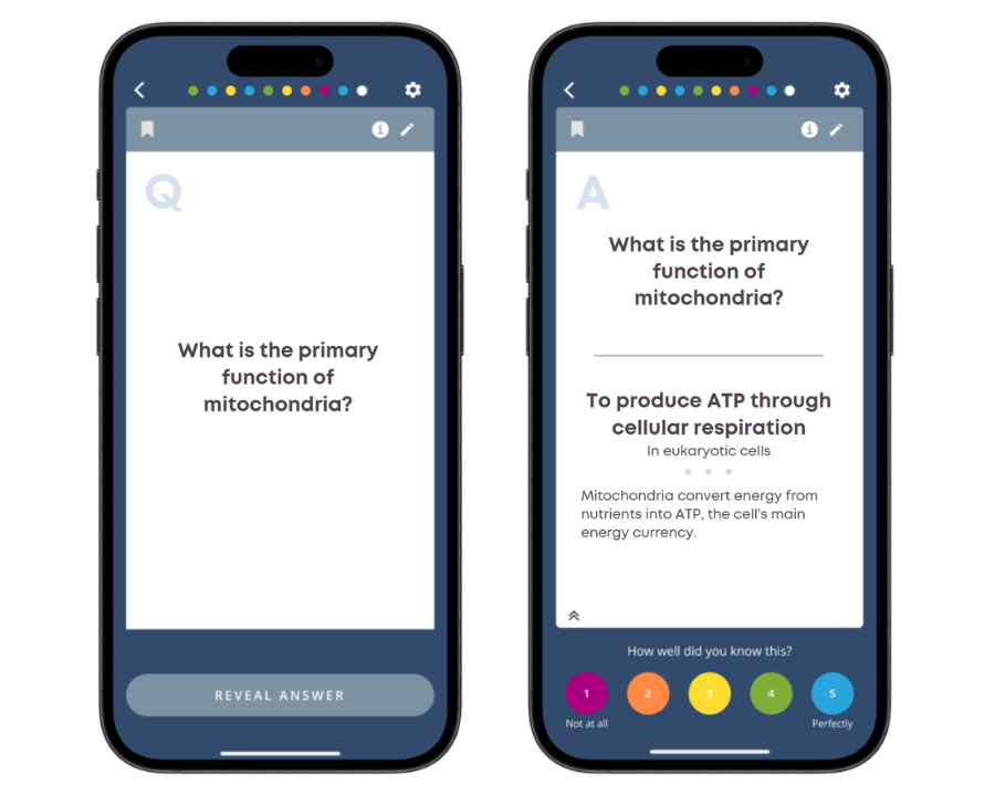 Example of flashcard with clarifier and footnote Example of flashcard with clarifier and footnote