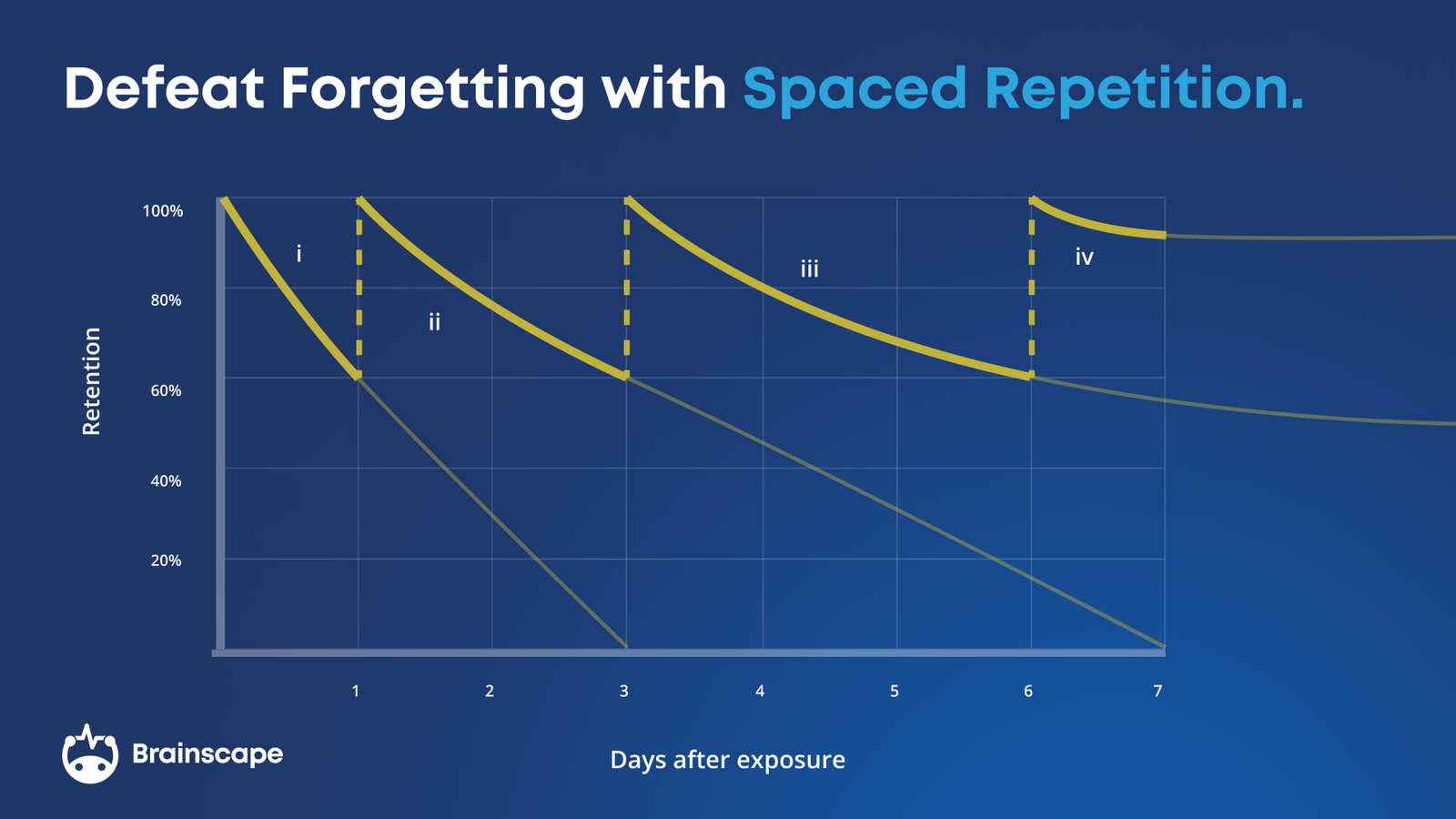 Defeat the forgetting curve with spaced repetition