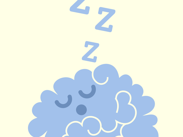 Do Snoozers Really Lose? Can Naps Boost Creativity And Memory?