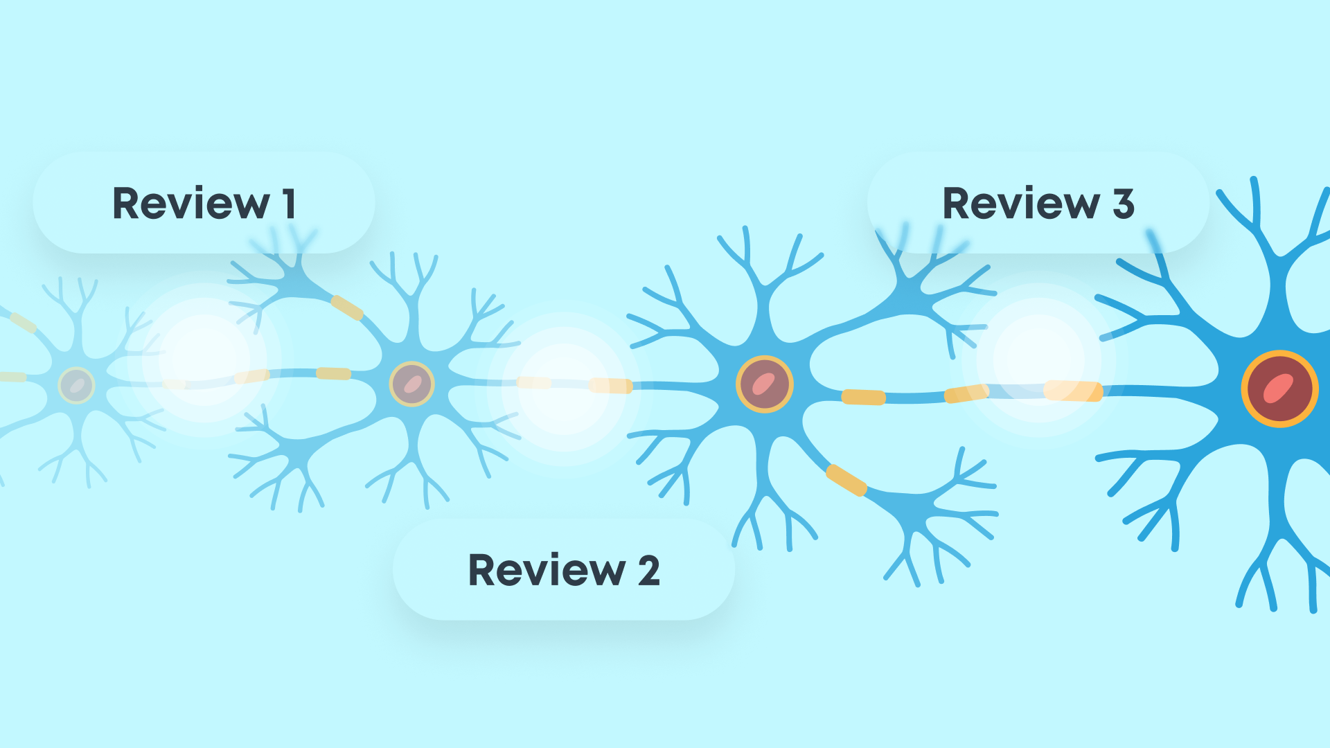 Retrieval practice: neural pathways strengthening with reviews Retrieval practice: neural pathways strengthening with reviews