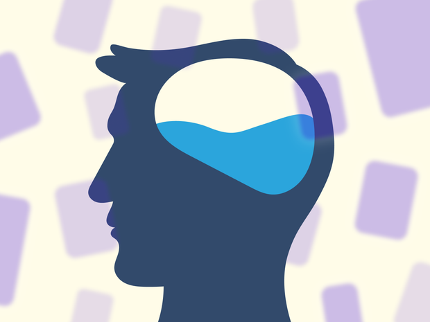 Stop Faking It! Use Brainscape's Knowledge Rehab