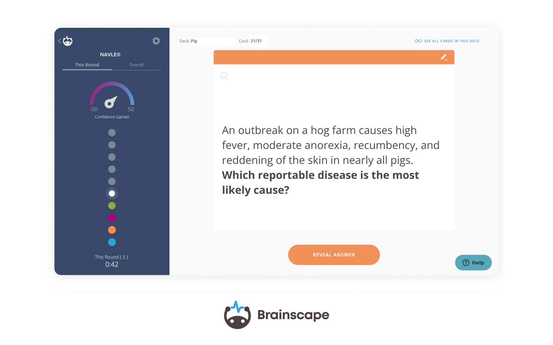 Brainscape's NAVLE® Web Flashcard