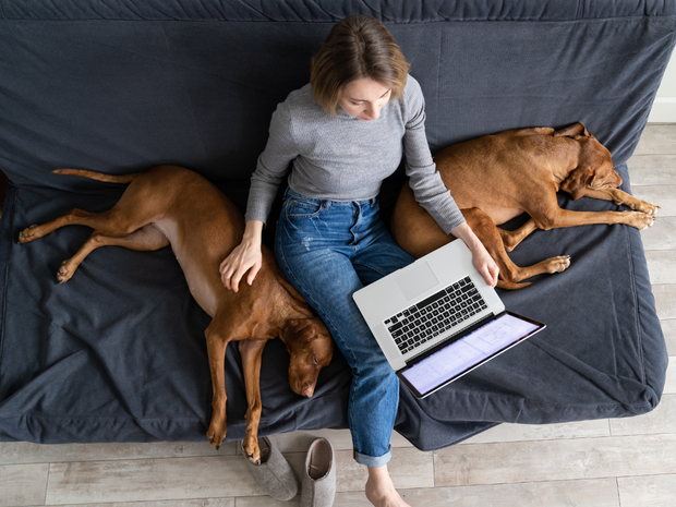 The 7 Best Educational Blogs Every Teacher Should Read