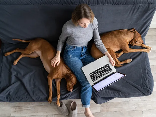 The 7 Best Educational Blogs Every Teacher Should Read